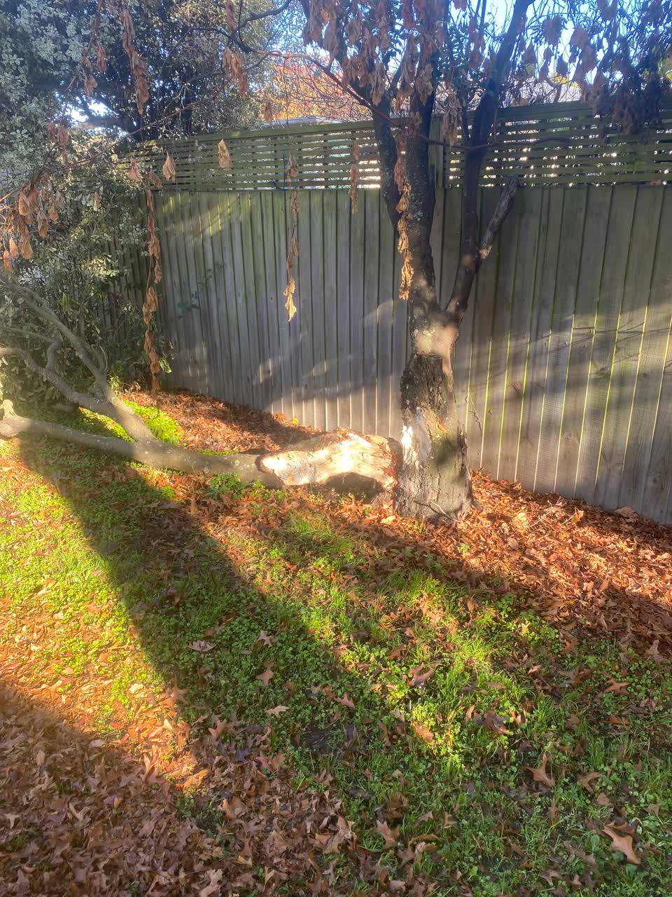The photograph attached to this parks report