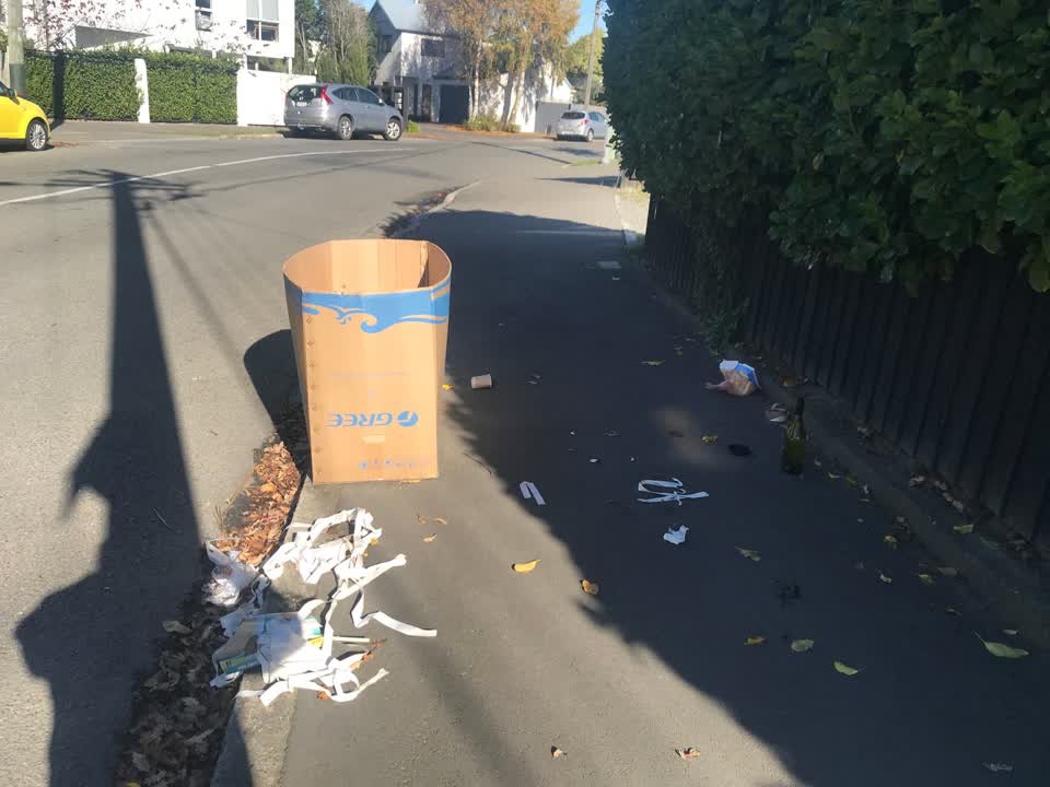 The photograph attached to this rubbish/recycling report