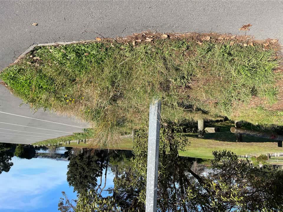 The photograph attached to this parks report
