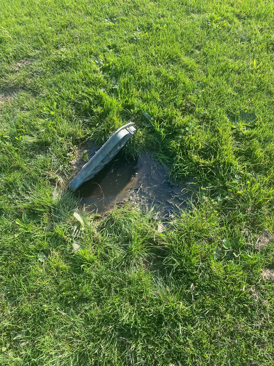 The photograph attached to this parks report