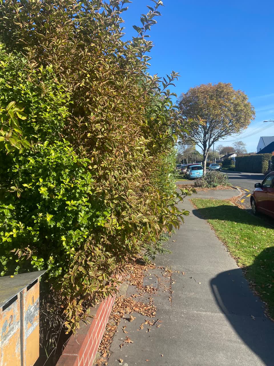 The photograph attached to this roading/streets report