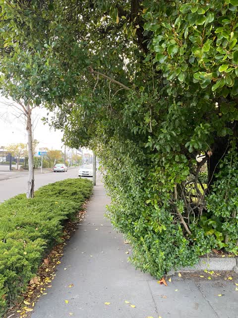 Roading/Streets, a report photo