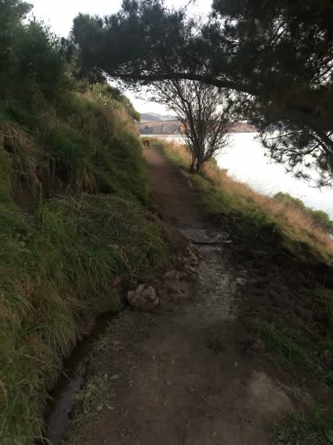 Water Leak, a report photo