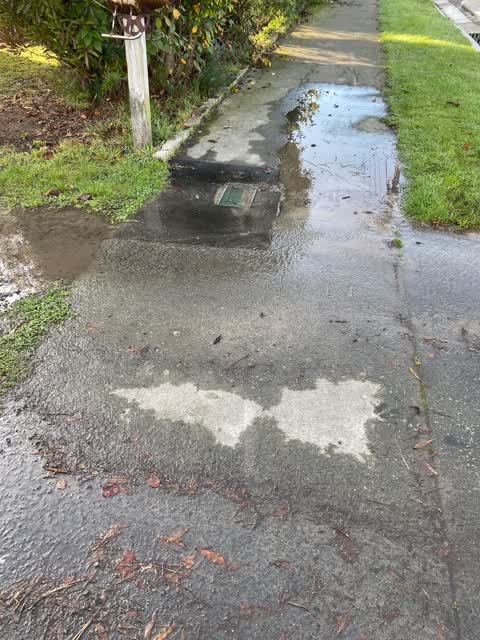 Water Leak, a report photo
