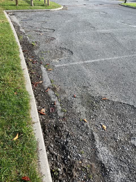 Parks, a report photo