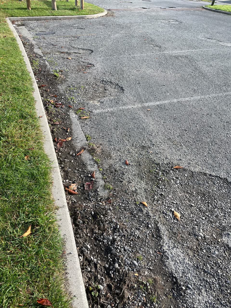 The photograph attached to this parks report