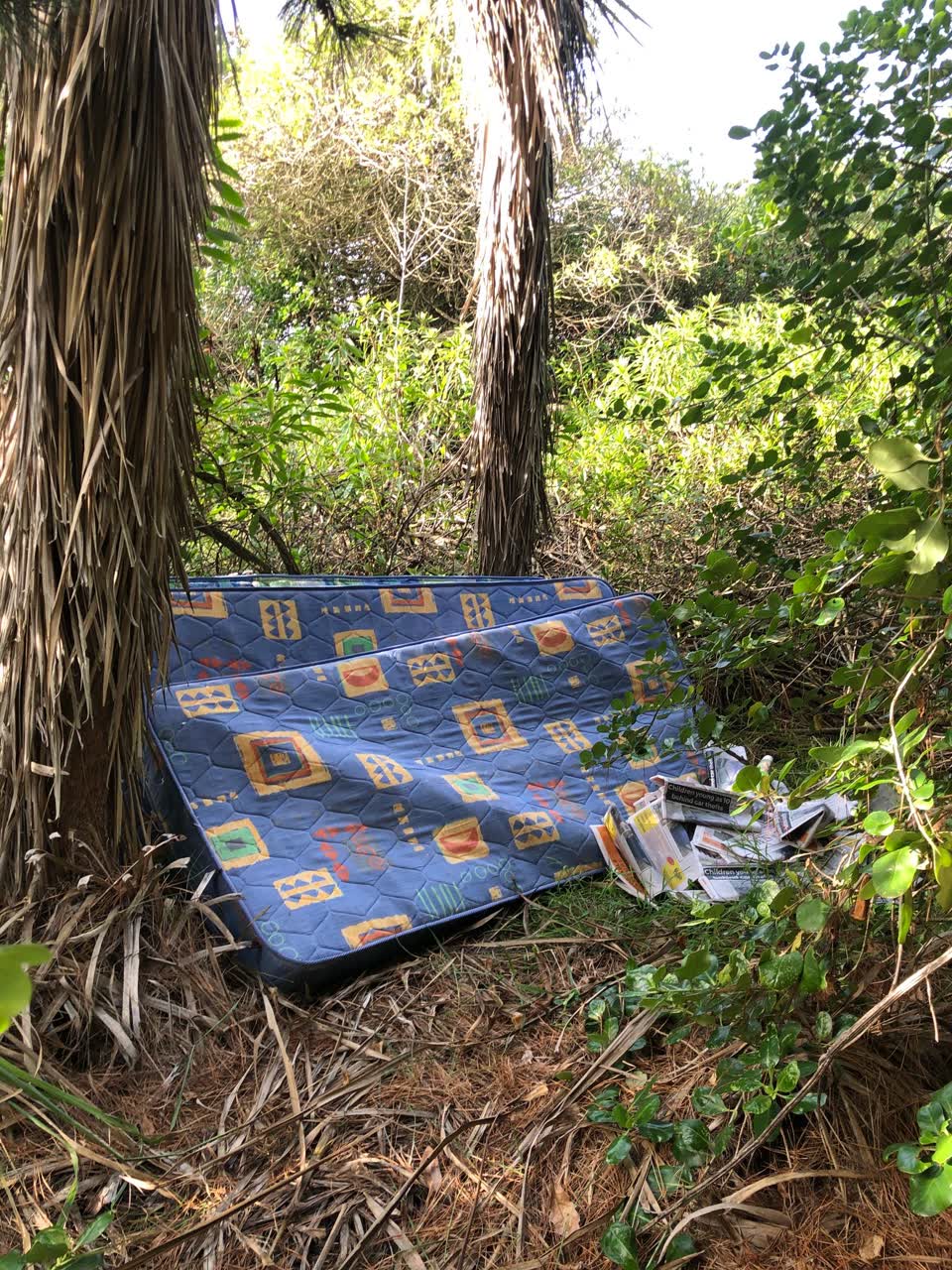 The photograph attached to this parks report