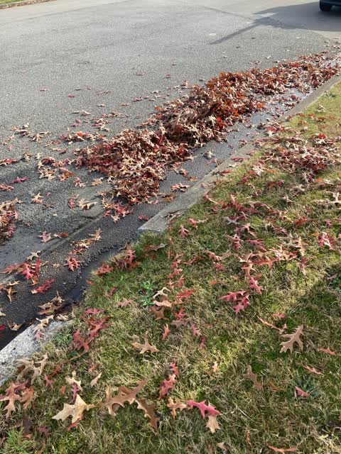 Wastewater/Stormwater, a report photo