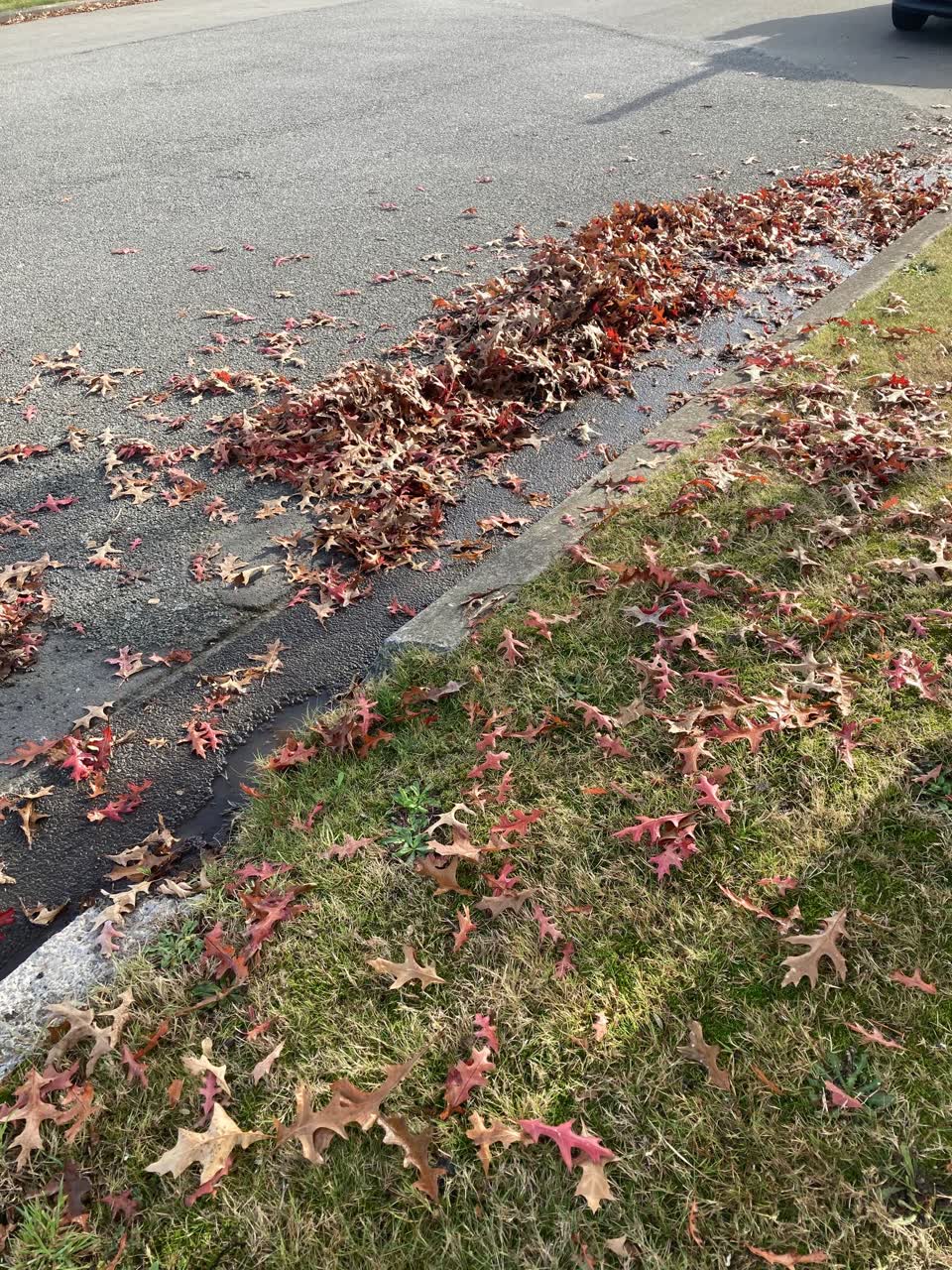The photograph attached to this wastewater/stormwater report