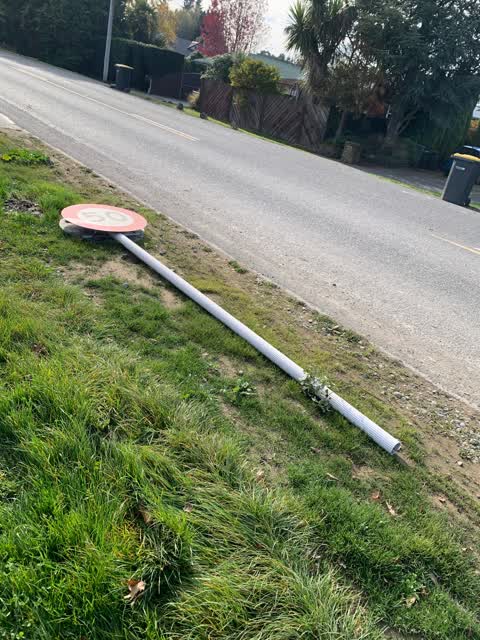 Roading/Streets, a report photo