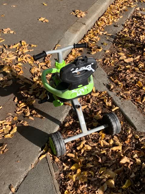 Rubbish/Recycling, a report photo