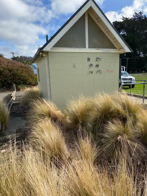 Graffiti, a report photo