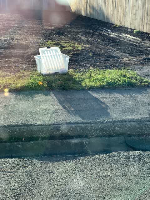 Rubbish/Recycling, a report photo