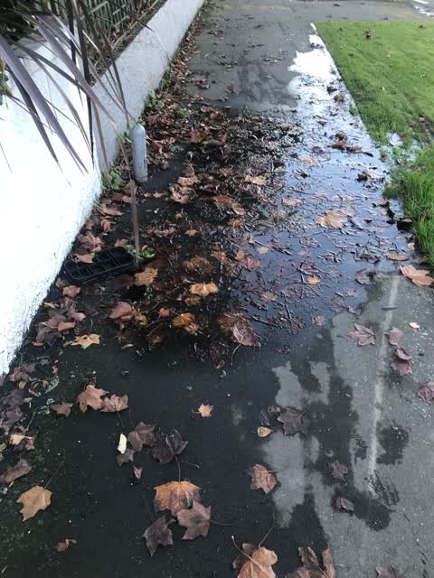 Water Leak, a report photo