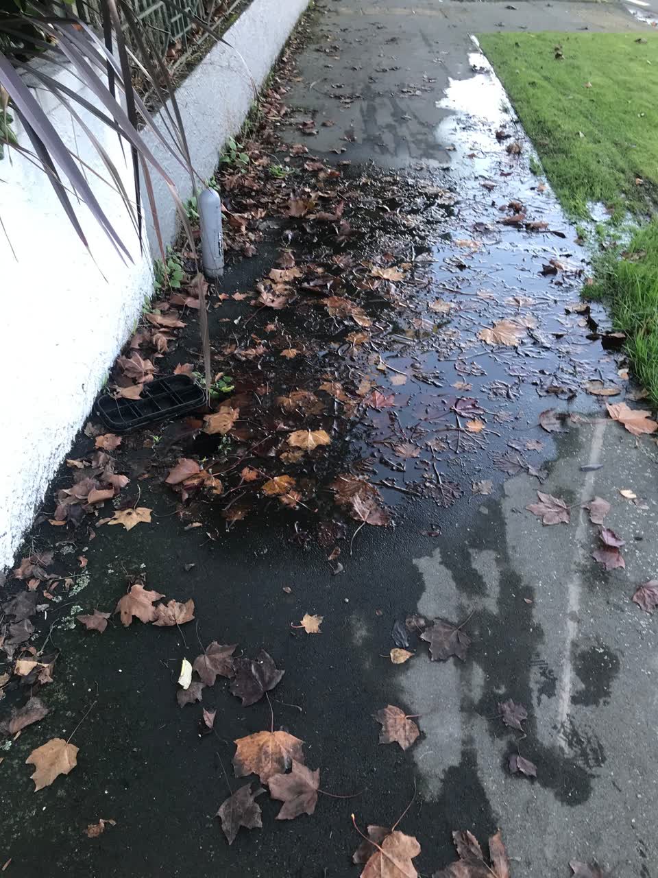 The photograph attached to this water leak report