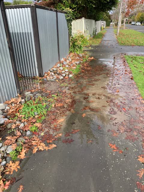 Water Leak, a report photo