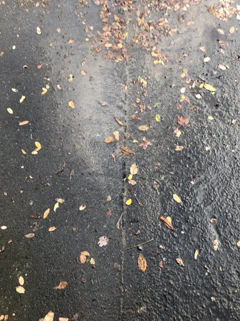 Water Leak, a report photo