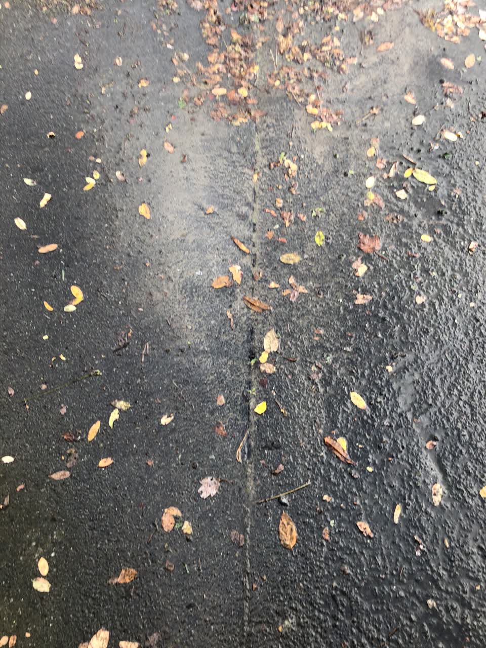 The photograph attached to this water leak report