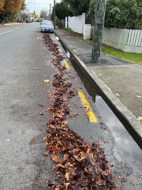 Wastewater/Stormwater, a report photo