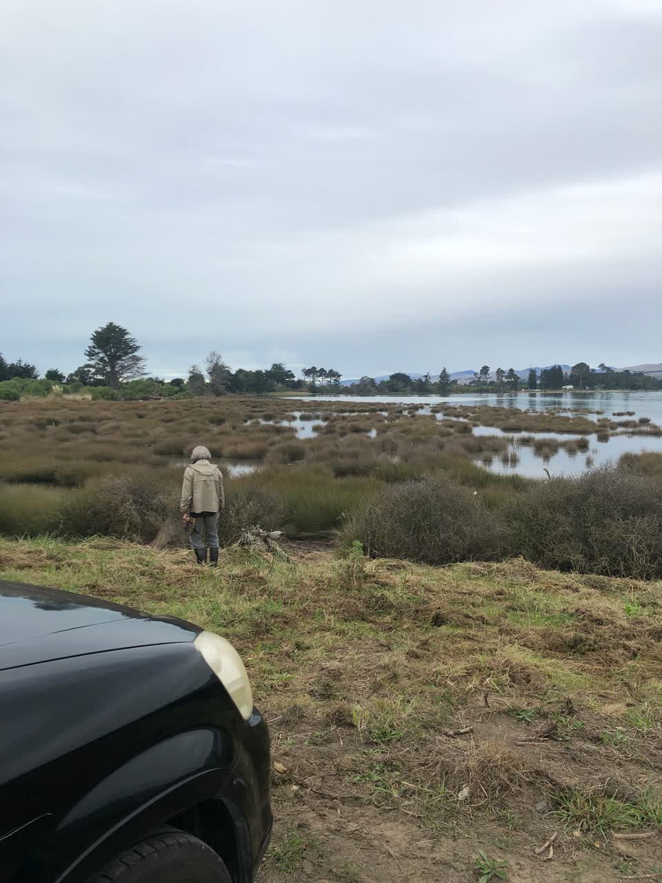 The photograph attached to this parks report