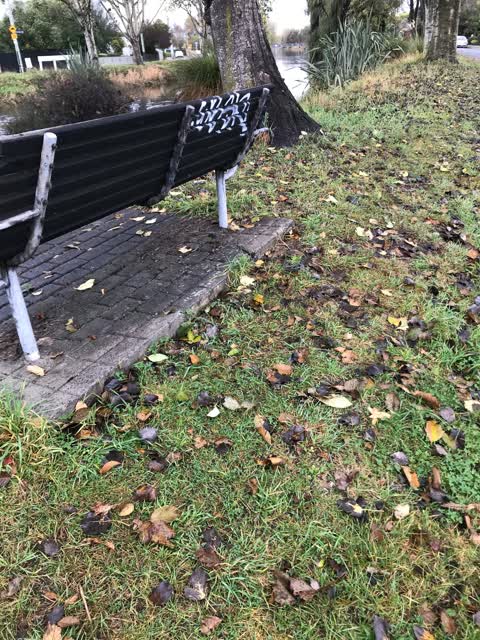 Graffiti — a report photo