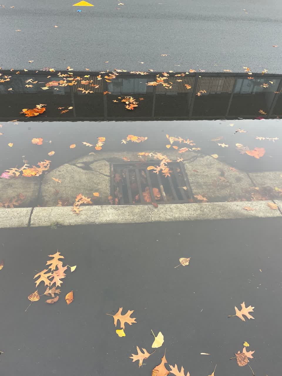 The photograph attached to this flooding report
