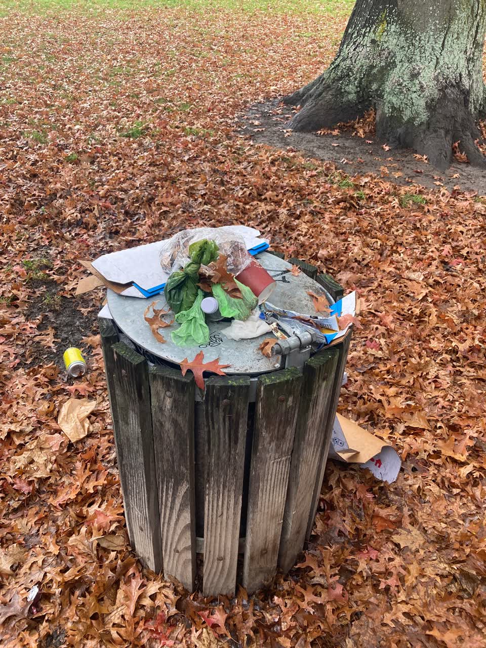 The photograph attached to this rubbish/recycling report