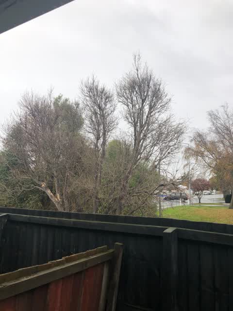 Parks — a report photo