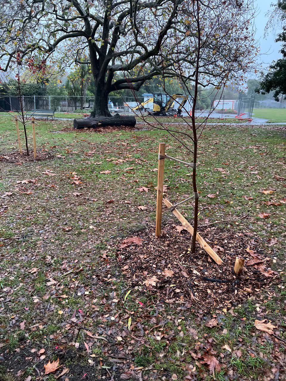 The photograph attached to this parks report