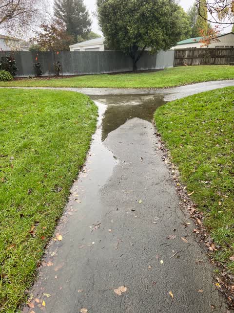 Parks, a report photo