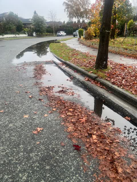 Roading/Streets, a report photo