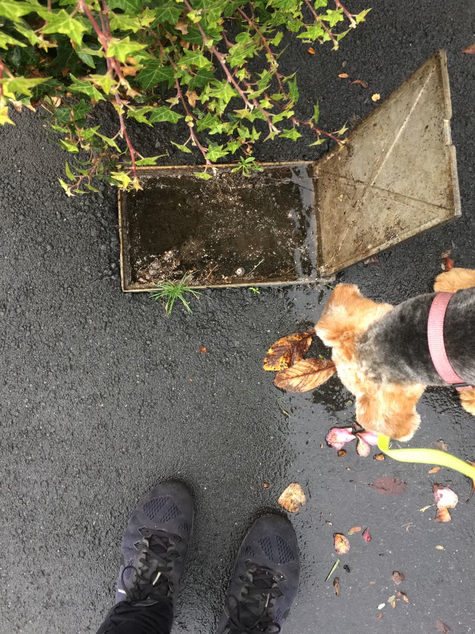 The photograph attached to this water leak report