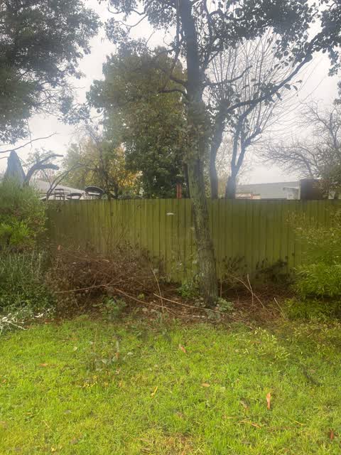 Parks, a report photo