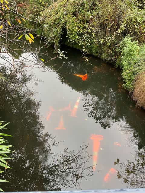 General Request — a report photo