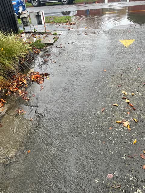 Flooding, a report photo