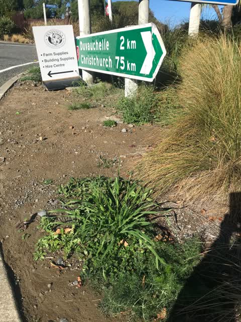 Roading/Streets, a report photo