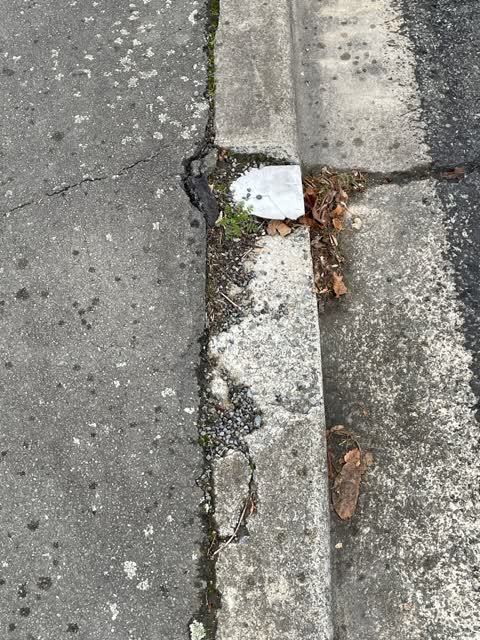 Roading/Streets, a report photo