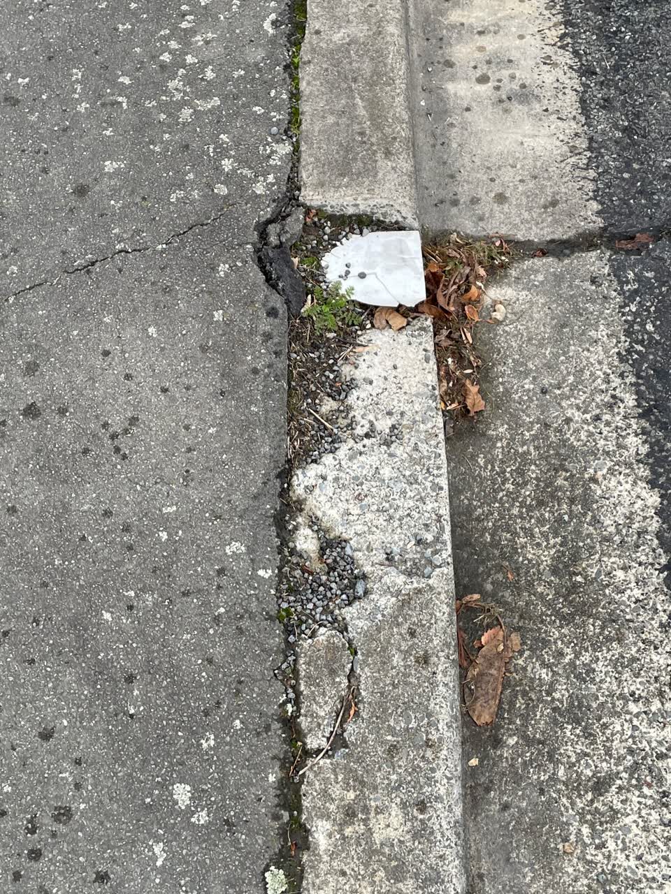 The photograph attached to this roading/streets report