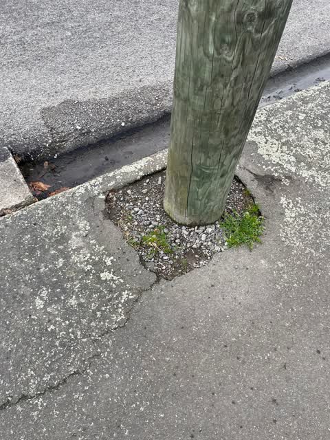 Roading/Streets, a report photo