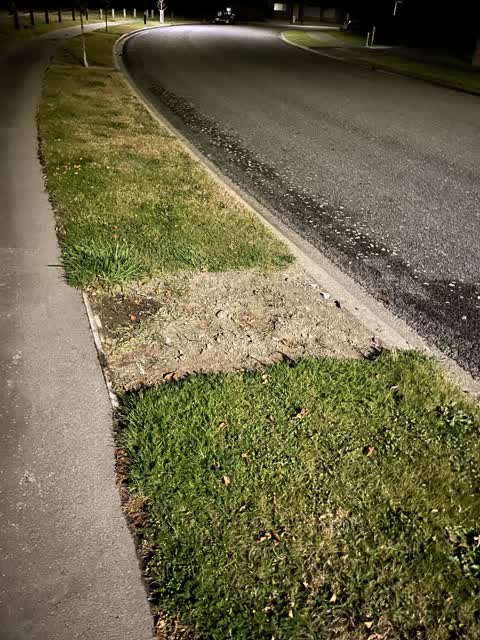 Parks, a report photo