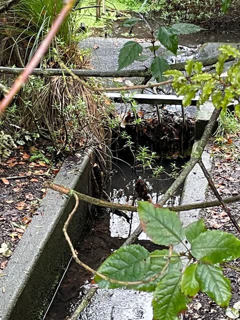 Wastewater/Stormwater, a report photo