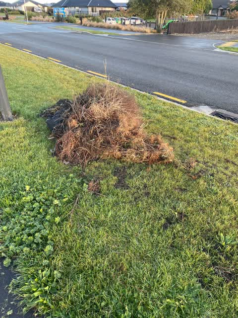 Rubbish/Recycling, a report photo