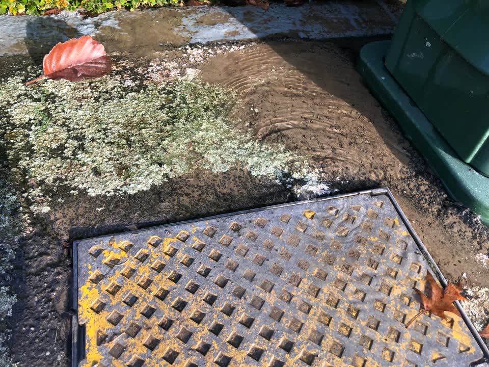 The photograph attached to this water leak report