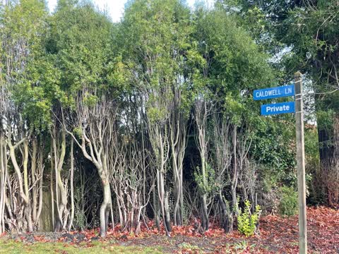 Roading/Streets, a report photo