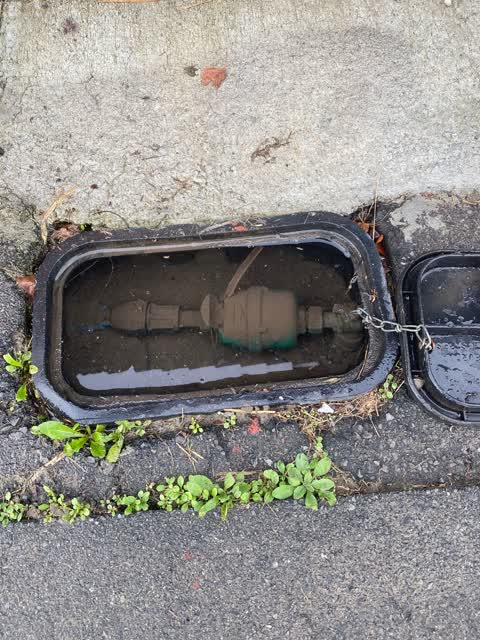 Water Leak, a report photo