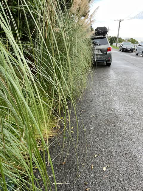 Parks, a report photo