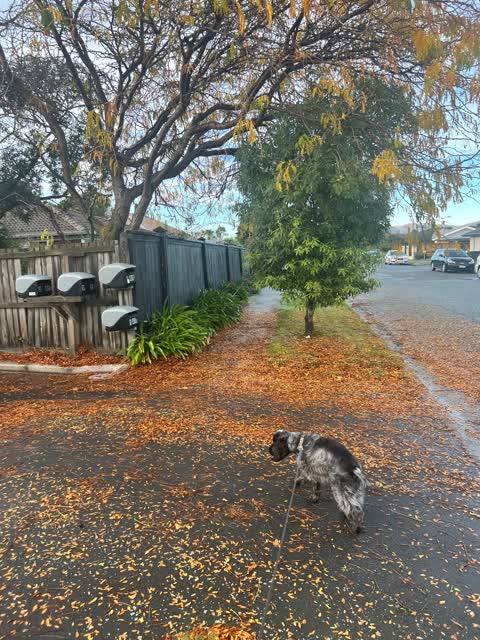 Roading/Streets, a report photo