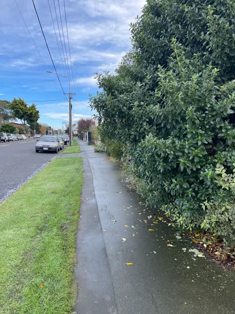 Roading/Streets — a report photo