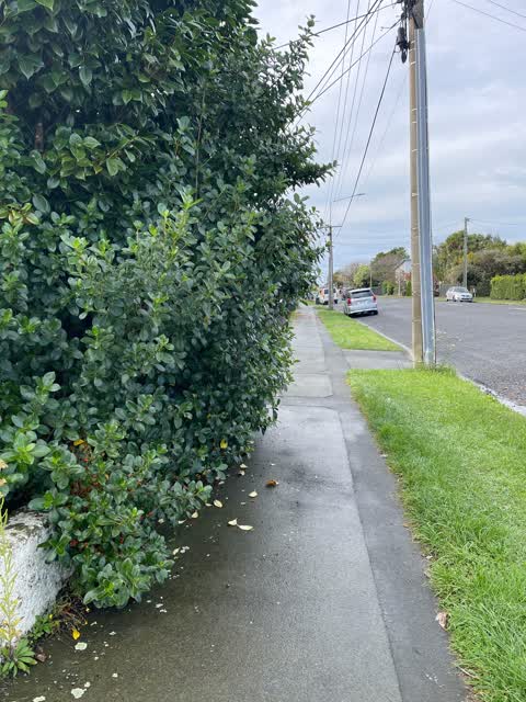 Roading/Streets, a report photo