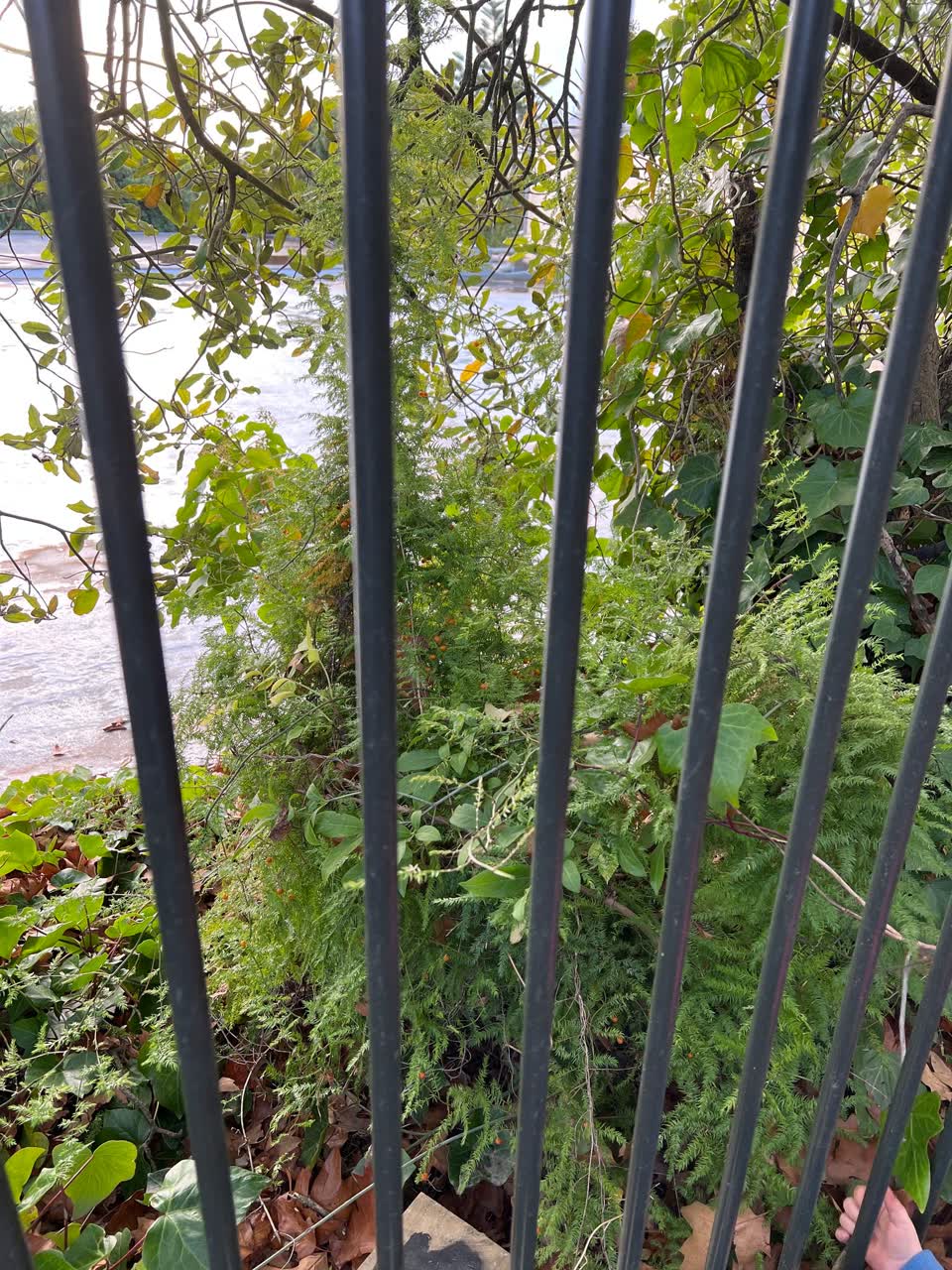 The photograph attached to this parks report